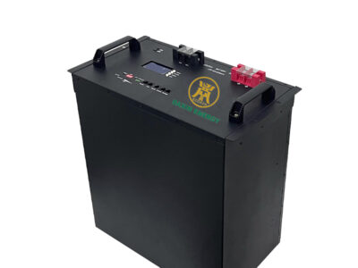 DAXIN 48V 200Ah LiFePO4 battery pack vertical view