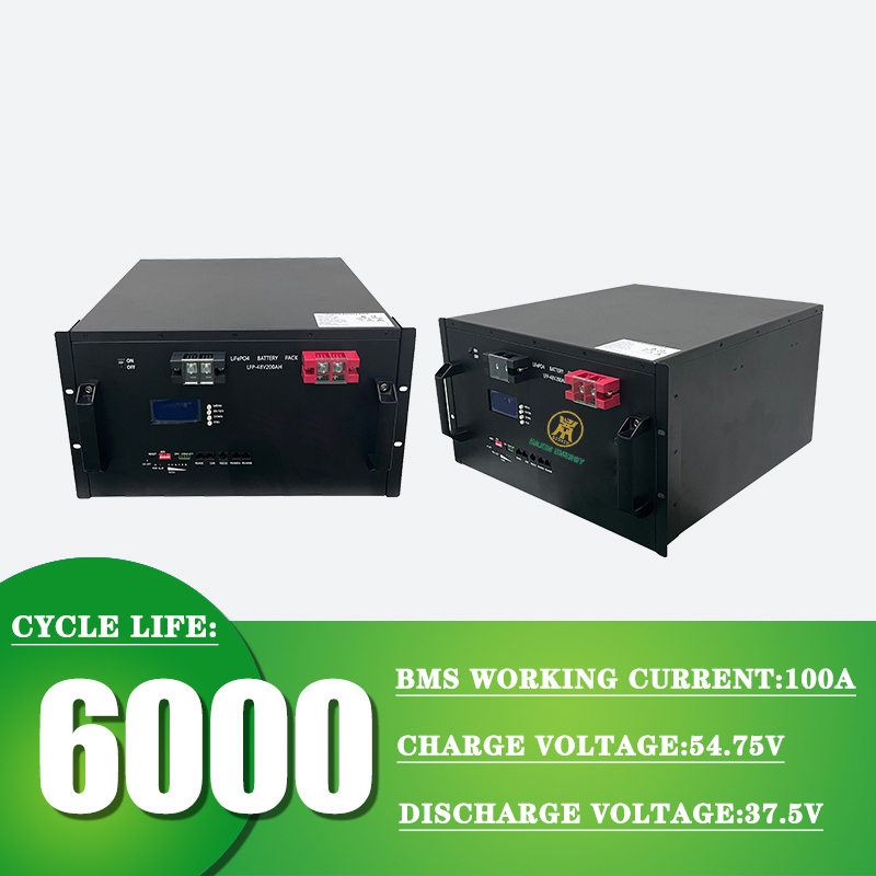 DAXIN 48V 200Ah LiFePO4 battery with up to 6000 cycles