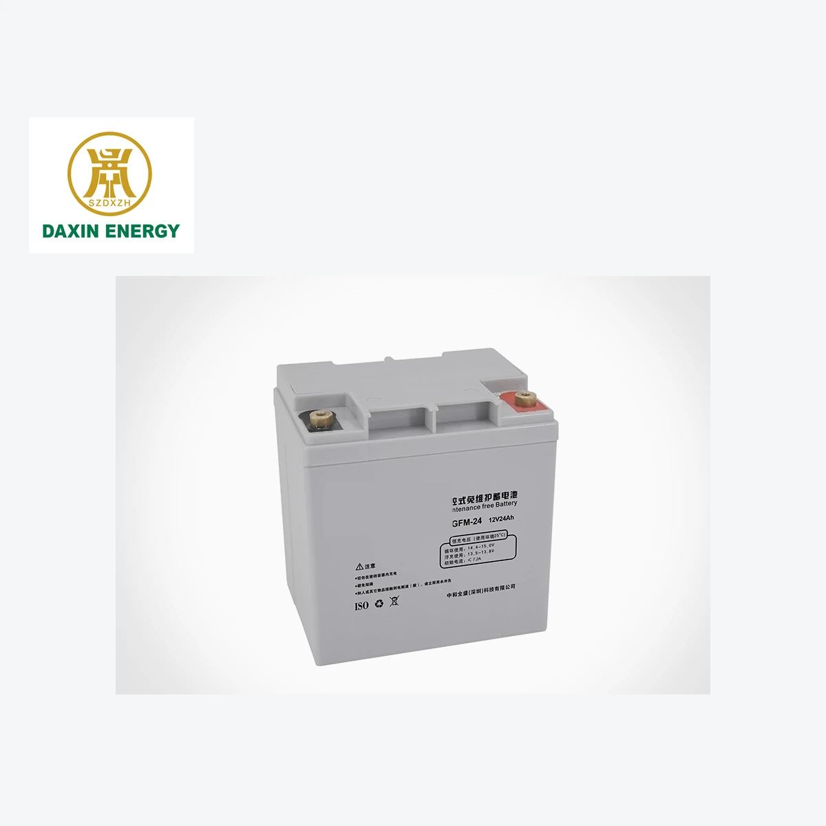 DAXIN 6-GFM-24 12V24AH UPS Backup Battery - product close-up