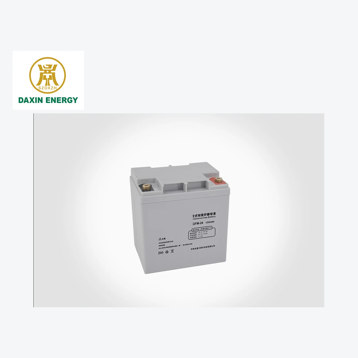 DAXIN 6-GFM-24 12V24AH UPS Backup Battery - product view