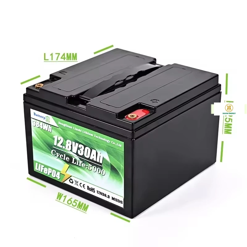 Pin LiFePO4 DAXIN 12,8 V 30 Ah thay thế cho pin axit chì - Thông số kỹ thuật 1