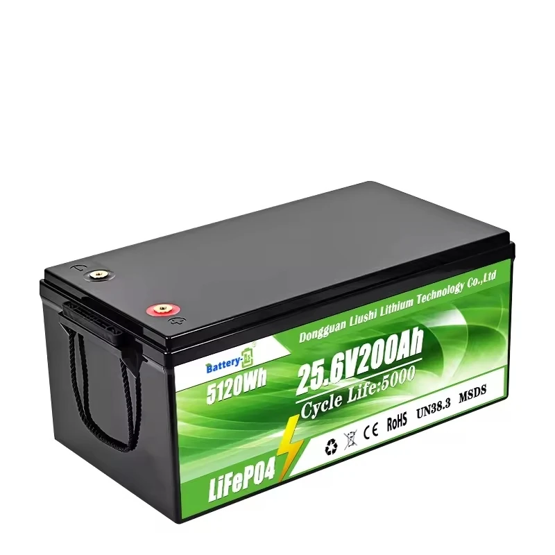 DAXIN 25.6V200AH LiFePO4 Lead-Acid Replacement Battery - technical detail 2