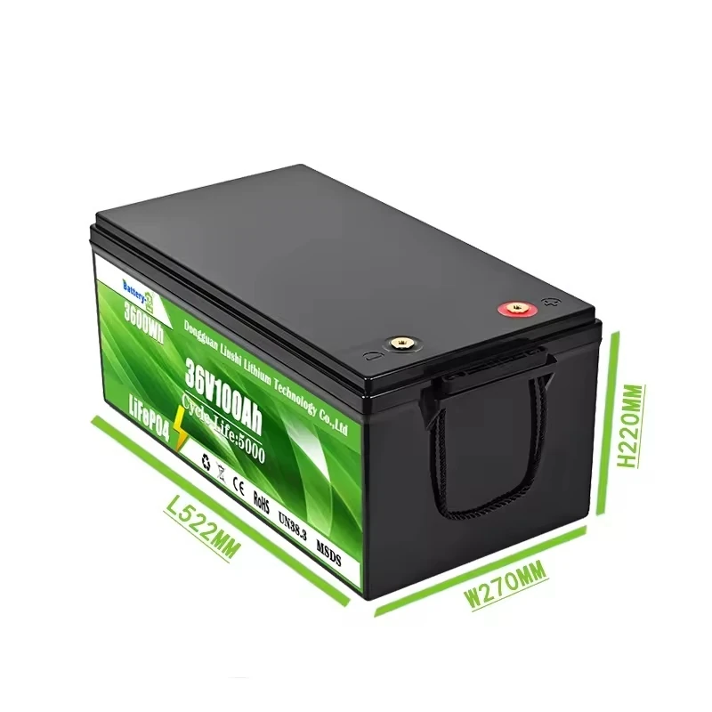 DAXIN 36V100AH LiFePO4 Lead-Acid Replacement Battery - technical detail 2