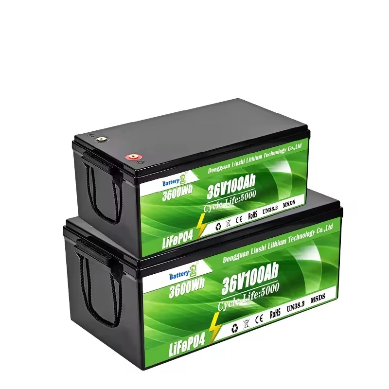 DAXIN 36V100AH LiFePO4 Lead-Acid Replacement Battery - technical detail 3