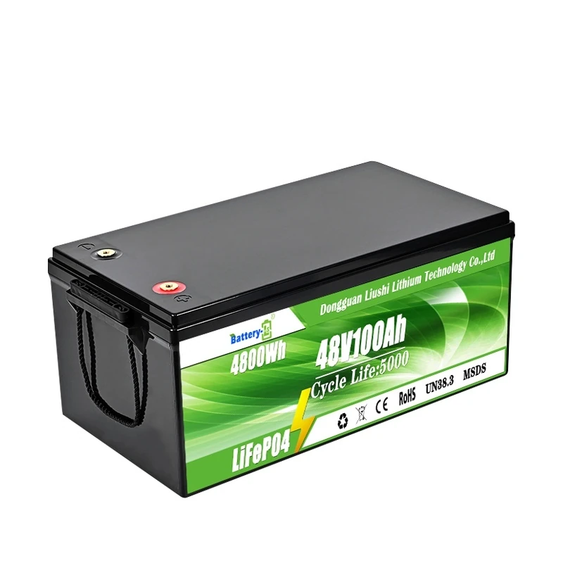 DAXIN 48V100AH LiFePO4 Lead-Acid Replacement Battery - technical detail 1