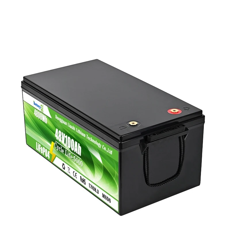 DAXIN 48V100AH LiFePO4 Lead-Acid Replacement Battery - technical detail 2