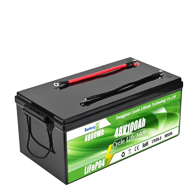 DAXIN 48V100AH LiFePO4 Lead-Acid Replacement Battery - technical detail 3