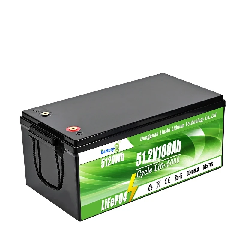 DAXIN 51.2V100AH LiFePO4 Lead-Acid Replacement Battery - technical detail 1