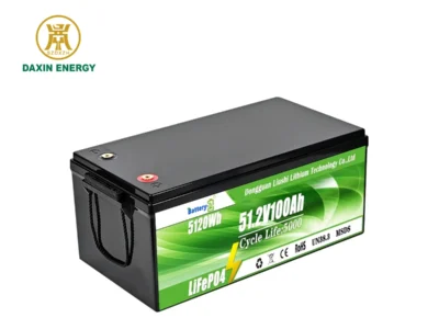 Batterie de remplacement DAXIN 51,2 V 100 Ah LiFePO4 pour batteries au plomb - vue du produit 1